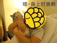 31小姐來親伊咧y.jpg