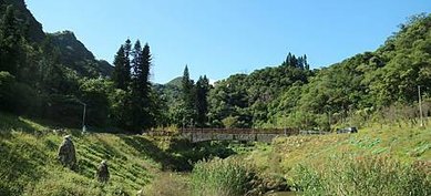 [台北旅遊]台北市第一座蜻蜓主題樂園， 金瑞治水園區美景如國