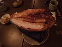 DSCF0994.JPG