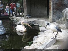 IMG_1809.JPG