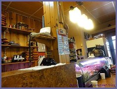 Image_7.JPG