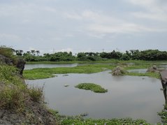 DSC00334.JPG