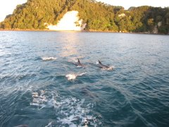 IMG_7919.jpg