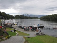 IMG_3235.jpg
