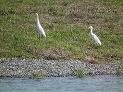 DSCF7721