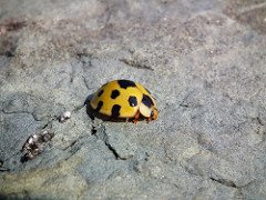 DSCF7723