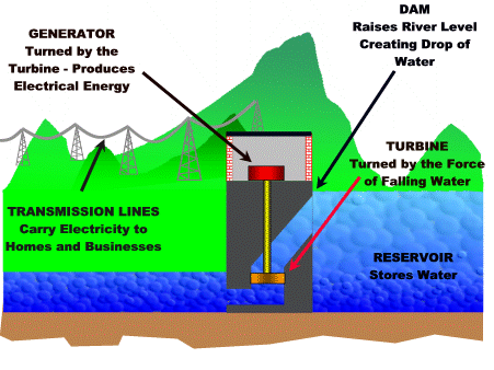 hydroplant-animate