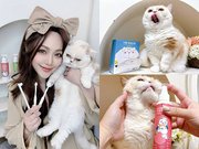 [寵物] 小小毛孩 Little poppet ♥ 貓咪刷牙好簡單 交給犬貓口腔護理專家就對了 ♥ 狗狗貓貓必備 讓毛孩更加享受刷牙的樂趣 ♥ 犬貓益生菌推薦 (ㆁωㆁ*)/ ♥