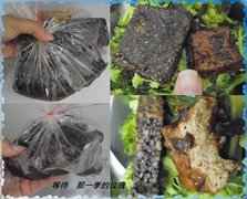 0新竹-神鬼椒瘋滷味.jpg