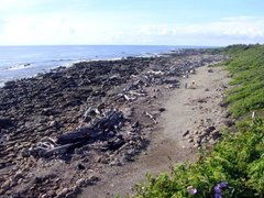 伽路蘭海邊