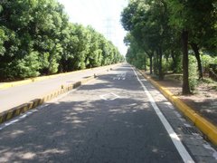 林園專用道