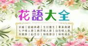 花語大全500+｜送花應該了解的花語意義｜常用小襯花介紹｜情人節、母親節、紀念日、畢業典禮