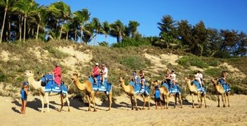 IMG_5968