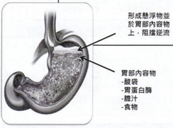 未命名.png