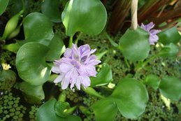 20100711 013.jpg