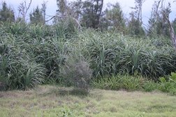 20100711 047.jpg