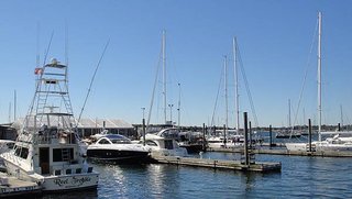 DSC08528.JPG