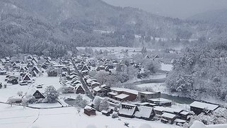 IMG_8850