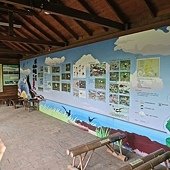 IMG_9850.JPG