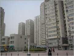tn_IMG_0352