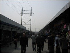tn_IMG_0354