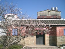 CIMG5458.JPG