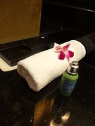 DSC07695.jpg