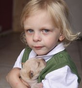 puppy 1