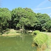 IMG_4026.JPG