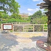 IMG_5549.JPG