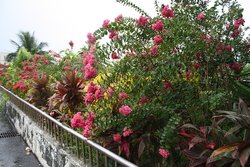 20100726 047.jpg