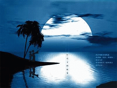 20080820_23c9f0d2f717c44a8771FWidWKLDk14d.gif
