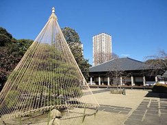 DSC08851.JPG