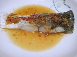 DSCN4266.JPG