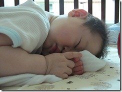 IMG_5082