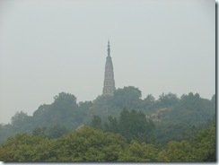 DSCF1398