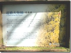 P1030830