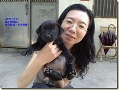 20090412376