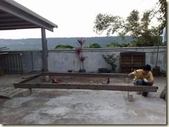 20090419484