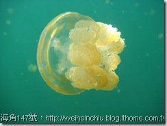 海角147號，http://weihsinchiu.blog.ithome.com.tw/