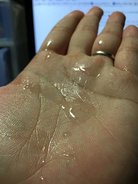 IMG_1729.JPG