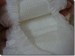 DSC05053
