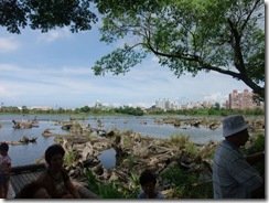 tn_DSCF4142