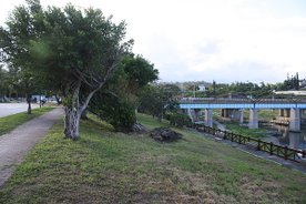 20100802 134.jpg