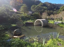 魚池鄉