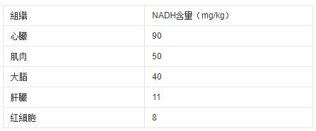 人體器官的NADH含量