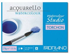 Watecolour Studio Torchon(膠).jpg