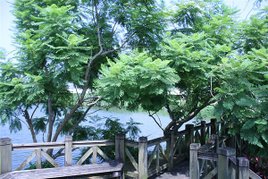 20100802 283.jpg