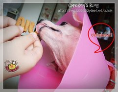 2010.08.21 Nu nu&apos;s cookies 地瓜燕麥19.jpg