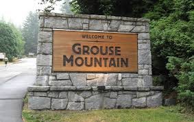 grouse mountain.jpg